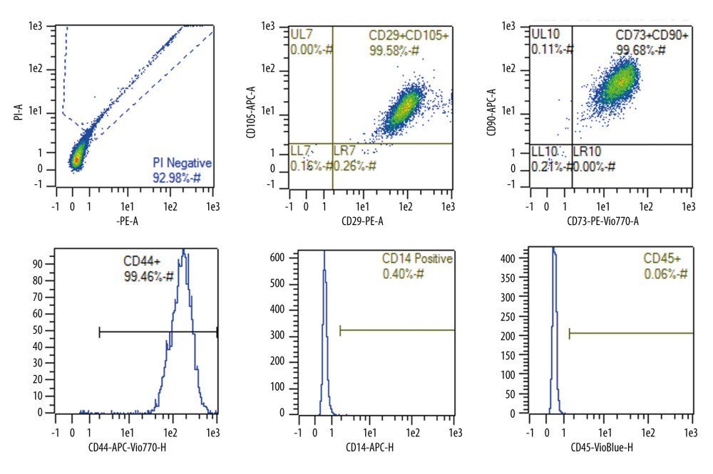 Identification of the isolated and cultured mesenchymal stem cells by flow cytometry.