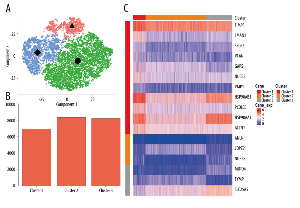 Monocle cell cluster analysis. (A) Three clusters were divided according to the differentially expressed genes (DEGs): Cluster 1 (▲), Cluster 2 (●), and Cluster 3 (◆). (B) The number of DEGs in each of the 3 clusters. (C) Gene heatmap of the top DEGs of the whole population based on the each top 10 DEGs unique to each cluster.