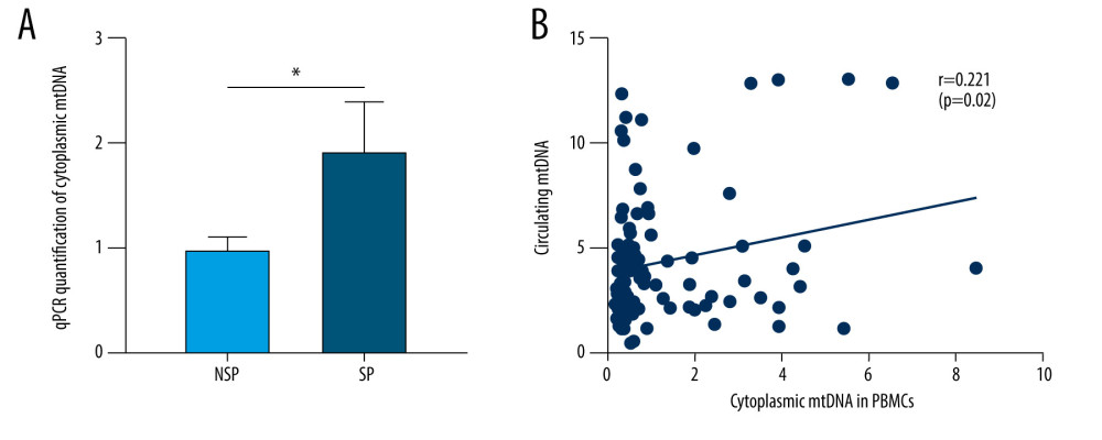 A similar trend of increased mtDNA was also observed in the mitochondria-free cytoplasm of PBMCs from SP patients. (A) Mitochondria-free mtDNA in PBMCs cytoplasm was measured using RT-qPCR targeting the Cytb region of mtDNA. * p<0.05 compared to NSP. (B) Spearman’s rank correlation analyses were performed between PBMCs cytosolic mtDNA and circulating mtDNA in MHD patients. Each dot represents data from one subject.