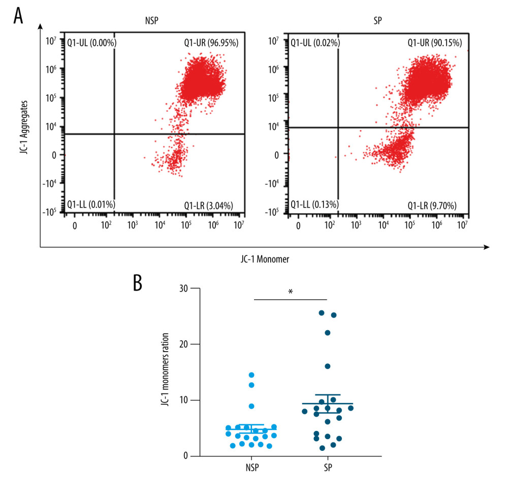 (A, B) Mitochondria appear to be impaired more severely in patients with sarcopenia. Flow cytometry analysis showing the loss of ΔΨm in PBMCs from SP (n=20) and NSP (n=20) groups. * p<0.05 compared to NSP.