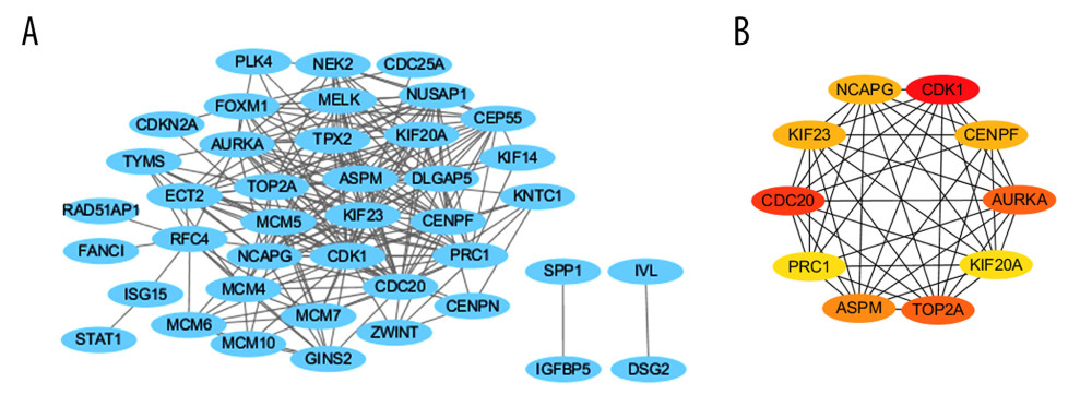 PPI network and hub gene identification via the cytoscape tool (http://www.cytoscape.org/). (A) PPI network of differentially expressed genes, including 41 nodes and 218 edges. The blue represents all the differentially expressed genes. All parameters in cytoHubba were set by default. (B) The top 10 genes in the PPI networks. The descending color from dark to light represents the weakening of hub gene interaction intensity.