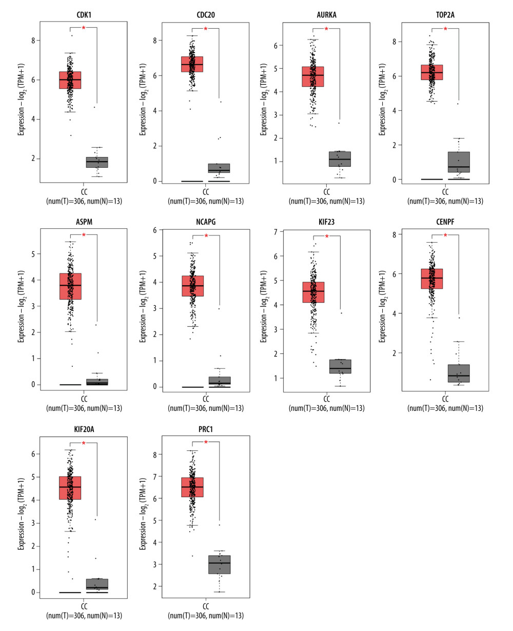 Boxplot graphs showing the expression levels of hub genes in normal cervical tissue and cervical cancer tissue via GEPIA website (http://gepia2.cancerpku.cn/). Red color represents tumor samples, while gray color represents normal samples. Red asterisks indicate P<0.05. CC – cervial cancer.