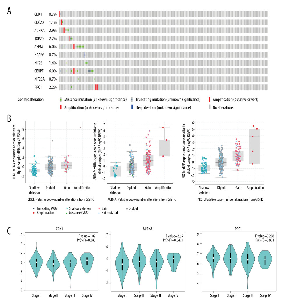 Validation of the differential expression of 10 hub genes’ mutation rates and various clinical stages. (A) The cBioPortal database (http://www.cbioportal.org) shows that the 10 hub genes are known to be mutated in cervial cancer. (B) The mutation status of CDK1, AURKA, and PRC1 in cervial cancer is mainly shallow deletion, and the mutation status of AURKA and PRC1 is mainly amplification. (C) In the pathological staging of cervial cancer, the expression of CDK1, AURKA, and PRC1 were significantly differentiated in various clinical stages.