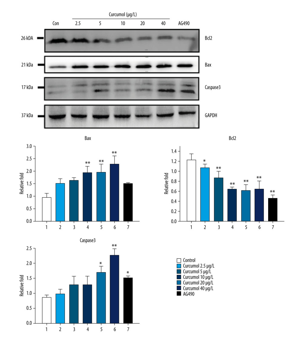 Western blot shows that curcumol resulted in increased expression of Bax and caspase-3, reduced expression of Bcl2. The experiments were performed in triplicate, and the results were expressed as mean±SD. Compared with control group, * P<0.05, ** P<0.01.