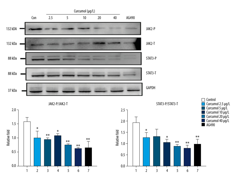 Western blot results show that curcumol is associated with a dose-dependent decrease in the phosphorylation levels of JAK2 and STAT3 in ectopic endometrial stromal cell. The experiments were performed in triplicate, and the results were expressed as mean±SD. Compared with the control group, * P<0.05, ** P<0.01.