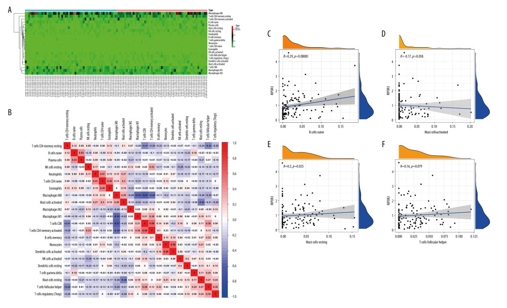 Immune cell infiltration patterns and correlation of high and low RIPOR3 expression groups with differential immune cells. (A) Heatmap of tumor-infiltrating immune cells (TIICs) in low-expression (n=55) and high-expression groups (n=55). (B) Heatmap showing the correlation between 22 TIICs and numeric value in each tiny box indicating the P value of correlation between the 2 kinds of cells. The shade of each tiny color box represents corresponding correlation value between 2 cells, and Pearson coefficient was used for significance test. (C–F) Scatter plot showing the correlation of TIIC proportion with RIPOR3 expression. (* P<0.05, ** P<0.01, *** P<0.001).