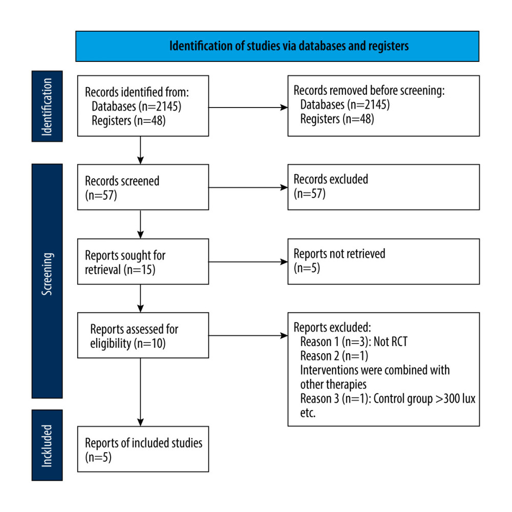 PRISMA flow diagram.