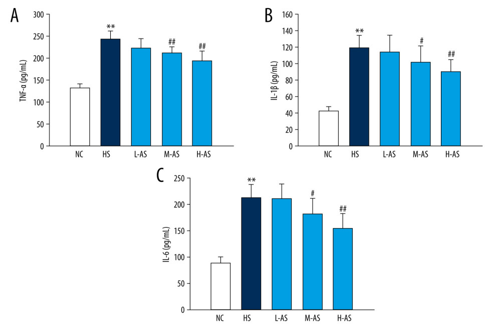 Pulmonary inflammatory factors in a heatstroke rat model pretreated with isorhamnetin. (A) TNF-α, (B) IL-1β, (C) IL-6. Date represent the mean±SD, (n=10/group). ** P<0.01 compared with the NC group; # P<0.05 and ## P<0.01 compared with the HS group. NC – normal control; HS – heatstroke; L-AS – low-dose isorhamnetin; M-AS – medium-dose isorhamnetin; H-AS – high-dose isorhamnetin. SigmaPlot 12.5 (Systat Software, Inc.) was used for figure creation.