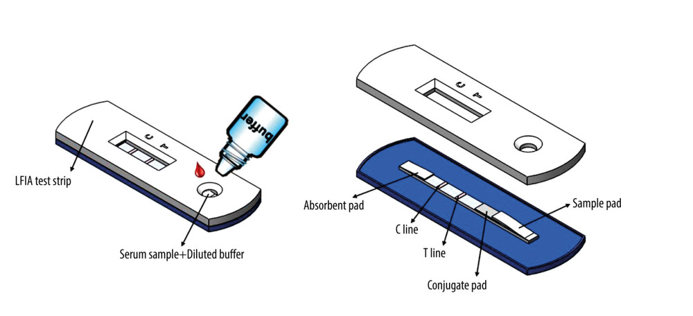 Lateral flow immunoassay test strip with C-line and T-line.
