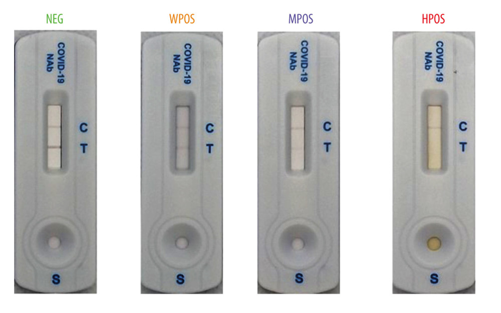 Results of the competitive test kit from different concentration of neutralizing antibodies specimen. From left to right: negative (NEG), weak positive (WPOS), medium positive (MPOS), and high positive (HPOS).