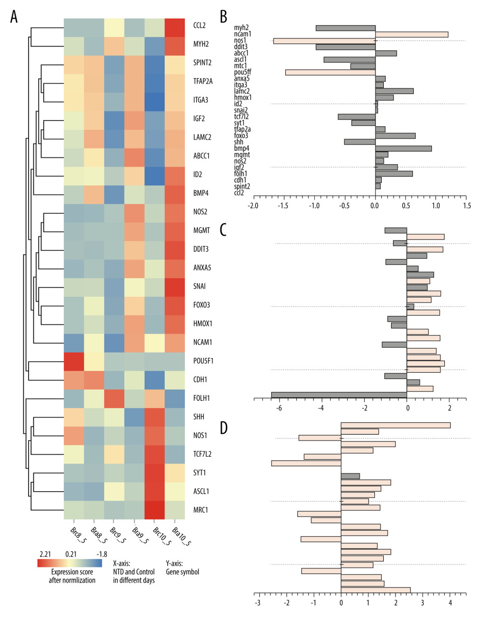 Expression of 27 differentially expressed gene in E8.5, E9.5, and E10.5. (A) Heatmap of DGEs’ expression; (B–D) X-axis: Log2 Ratio in E8.5 (RA/Con), Log2 Ratio in E9.5 (RA/Con), Log2 Ratio in E10.5 (RA/Con) respectively, Y-axis: Gene Symbol. Flesh colored: genes with |log2 Ratio|>1 and P value<0.05; light gray: genes with |log2 Ratio|<1 or P value>0.05. These figures were created by an open-source tool RStudio, version 1.1.456.