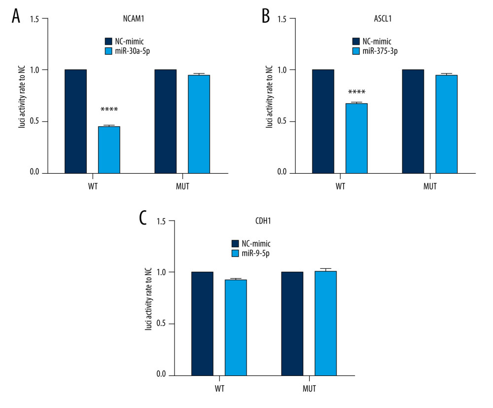 Interaction between selected miRNA-mRNA pairs identified by luciferase reporter assays. (A) Luciferase assay of mmu-miR-30a-5p-Ncam1. (B) Luciferase assay of mmu-miR-375-3p-Ascl1. (C) Luciferase assay of mmu-miR-9-5p-Cdh1. **** P<0.0001. Data were analyzed and visualized using the software GraphPad Prism, version 8.0, supported by GraphPad Software.