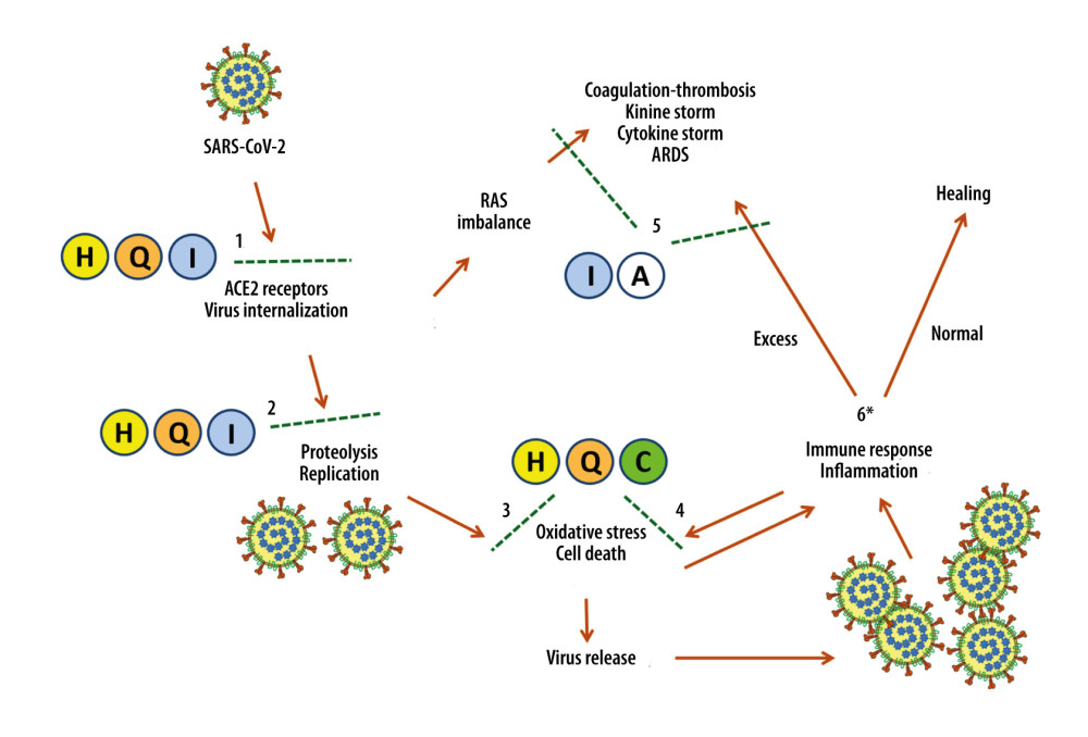Schematic representation of the main cellular (1–2–3) and systemic (4–5–6) biological events following SARS-CoV-2 infection and synergistic effects of the substances described in this study. H – Hesperidin, Q – Quercetin, I – Indomethacin, C – Vitamin C, A – Low-dose aspirin. ACE2 – Angiotensin-Converting Enzyme-2; RAS – Renin-Angiotensin System. Bibliographic references of the indicated effects are given in the text. The figure was created with PowerPoint software (Microsoft Office 2019).