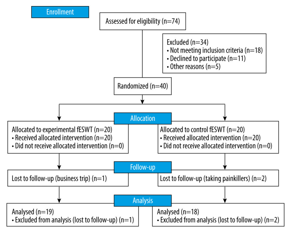 CONSORT flow chart of study participants. fESWT – focused extracorporeal shock wave.