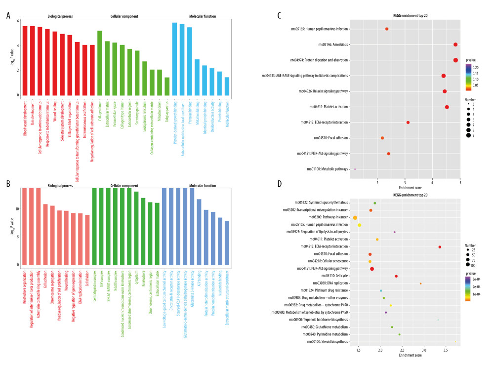 Enrichment analysis of circRNAs and mRNAs. (A) The top 30 GO-enriched entries of differentially expressed circRNAs. (B) The top 30 GO-enriched entries of differentially expressed mRNAs. (C) The top 20 KEGG enrichment pathways of differentially expressed circRNAs. (D) The top 20 KEGG enrichment pathways of differentially expressed mRNAs.
