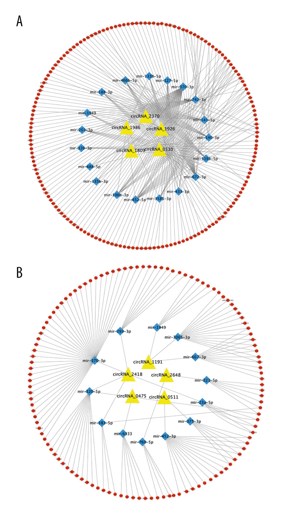 The circRNA-miRNA-mRNA regulatory network. (A) ceRNA network of the first 5 upregulated circRNAs. (B) ceRNA network of the first 5 downregulated circRNAs. (Cytoscape,version 3.6.1.). The statistical results were presented as mean±standard deviation; * P<0.05, ** P<0.01, *** P<0.001.