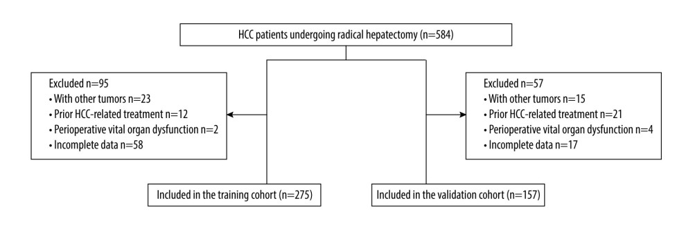 Patient selection process. HCC – hepatocellular carcinoma.