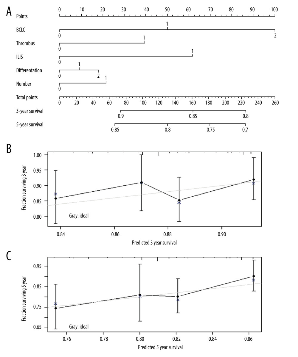 Nomogram predicting the probability of survival at 3 and 5 years post-operation. (A) ILIS-based nomogram for HCC patients after radical hepatectomy. (B, C) Good calibration for predicting survival at 3 and 5 years post operation.