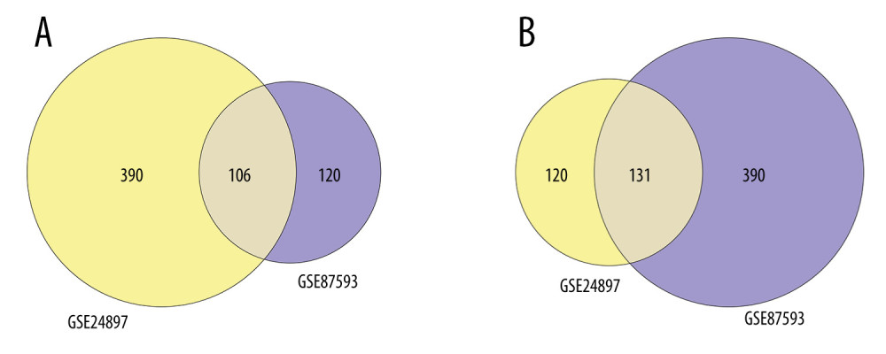 Venn plots of differentially-expressed genes (DEGs).Venn plots of DEGs showing upregulated (A) and downregulated genes (B). R software 4.1.3 version was used for visualization.