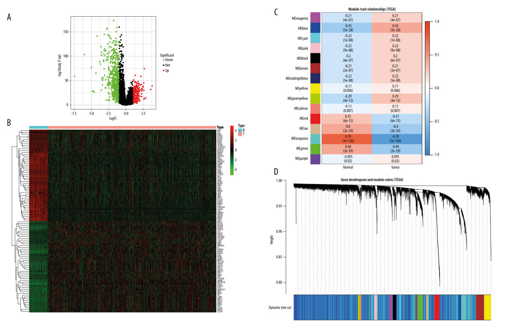 (A) Volcano plot of DEGs in TCGA. (B) Heat map of DEGs in TCGA. The green parts present down-regulated genes, red parts present up-regulated genes, and black parts presents non-differential genes. (C) The cluster dendrogram with different colors of TCGA. (D) Module-trait relationships. Each row corresponds to a color, while each column corresponds to the normal or tumor group.