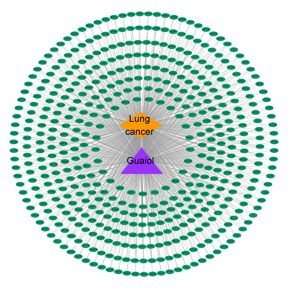 Disease-drug-target network. Purple triangular node presents the drug, orange rhombic node presents disease, and green oval nodes present 480 targets.