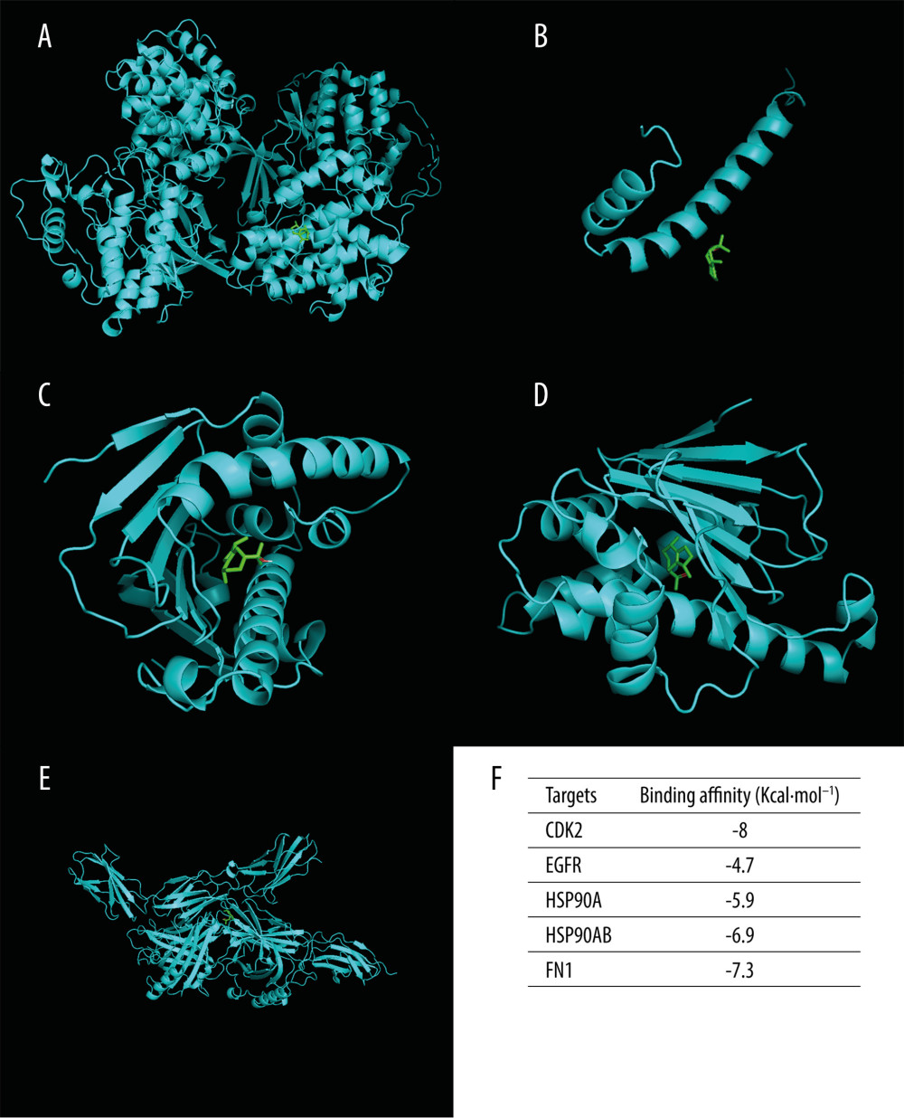 Molecular docking diagrams of (−)-Guaiol with (A) CDK2, (B) EGFR, (C) HSP90AA1, (D) HSP90AB1, and (E) FN1. (F) The binding affinity for the 5 targets docked into the (−)-Guaiol crystal structure.