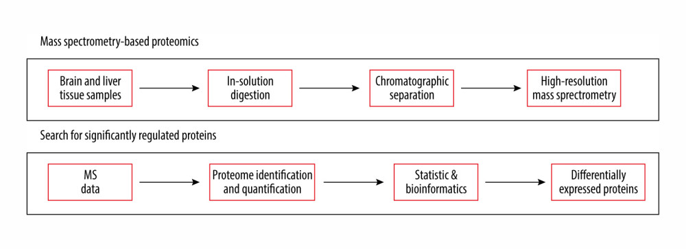 Experimental workflow of label-free differential quantitative proteomics.
