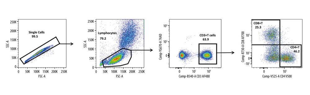 Gating strategy for peripheral T cell subsets. Lymphocytes and single cells from peripheral blood were gated on FSC-A versus SSC-A. Cell surface antibodies were used to identify CD3+ T, CD4+ T, and CD8+ T cells. FACSDIVA V6. software (BD Biosciences) was used to create the figures.