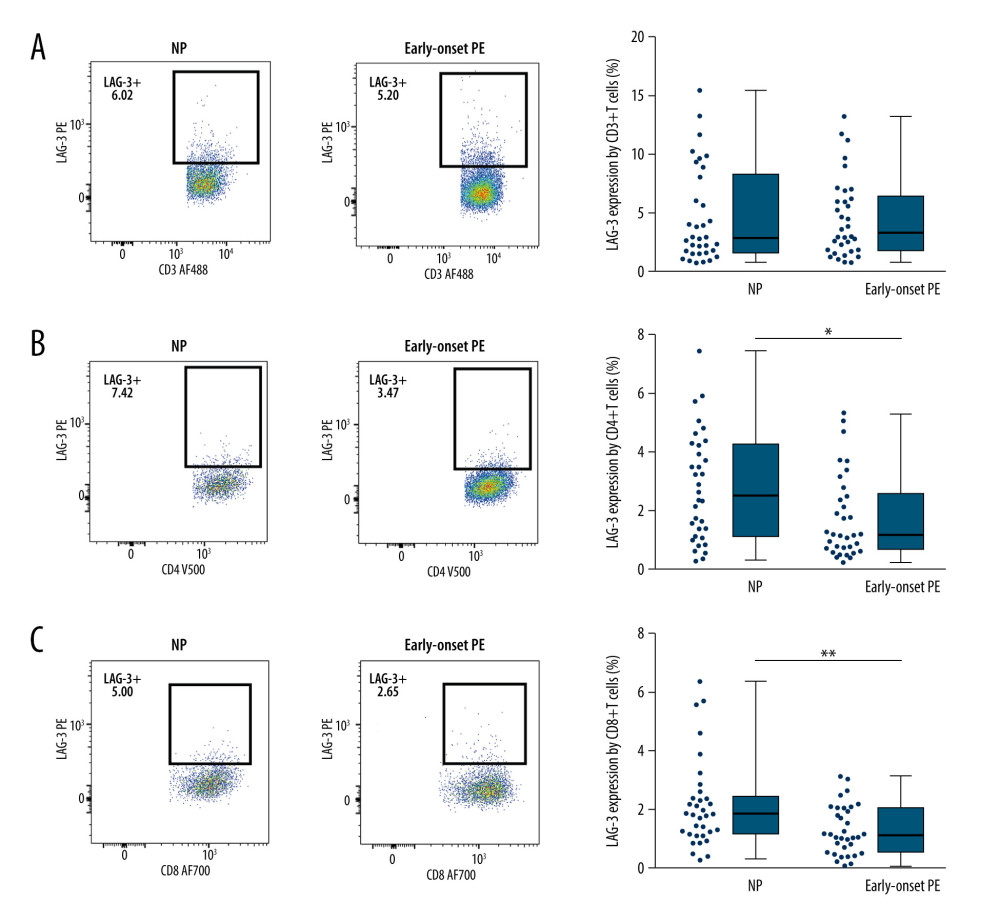 LAG-3 expression by different peripheral T cell subsets in women with NP and early-onset PE. Flow cytometry was used to determine the expression of LAG-3 by peripheral CD3+ T (A), CD4+ T (B) and CD8+ T cells (C) in NP and early-onset PE. Statistical comparisons were made by unpaired t test. The solid bars represent the medians of 34 samples, the boxes indicate the interquartile ranges, and the lines show the most extreme observations. Differences were considered significant when the P value was equal to or less than 0.05. * P<0.05, ** P<0.01. NP – normal pregnancy; Early-onset PE – early-onset preeclampsia. FACSDIVA V6. software (BD Biosciences) and GraphPad Prism software, version 7 (GraphPad) were used to create the figures.