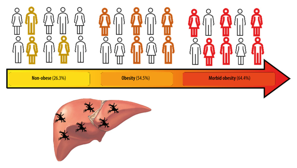 Increased hepatic dendritic cells (CD11c+, hDCs) expression in liver tissue according to patient’s body mass index (BMI)A graphic/schematic distribution of the liver expression of hDCs (CD11c+) according to patients’ BMI. Hematoxylin and Eosin (H), and Masson trichrome stains in liver biopsy form patients with different BMIs. Liver expression of hDCs (CD11c+) according to patients’ BMI.