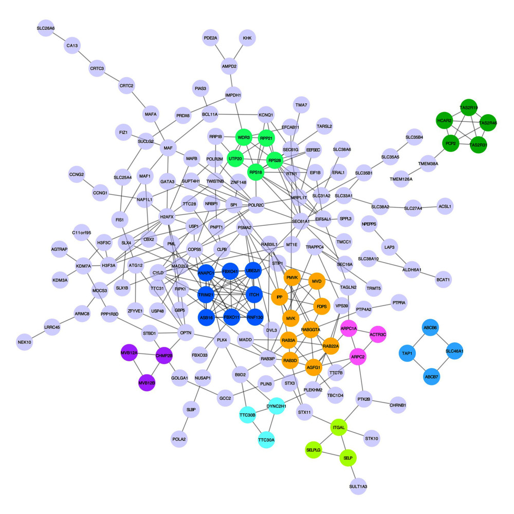 A network of protein–protein interactions (PPI) was built using STRING and Cytoscape. Different colors are used to denote the various clusters that MCODE examined. The PPI network has 261 nodes and 307 edges.