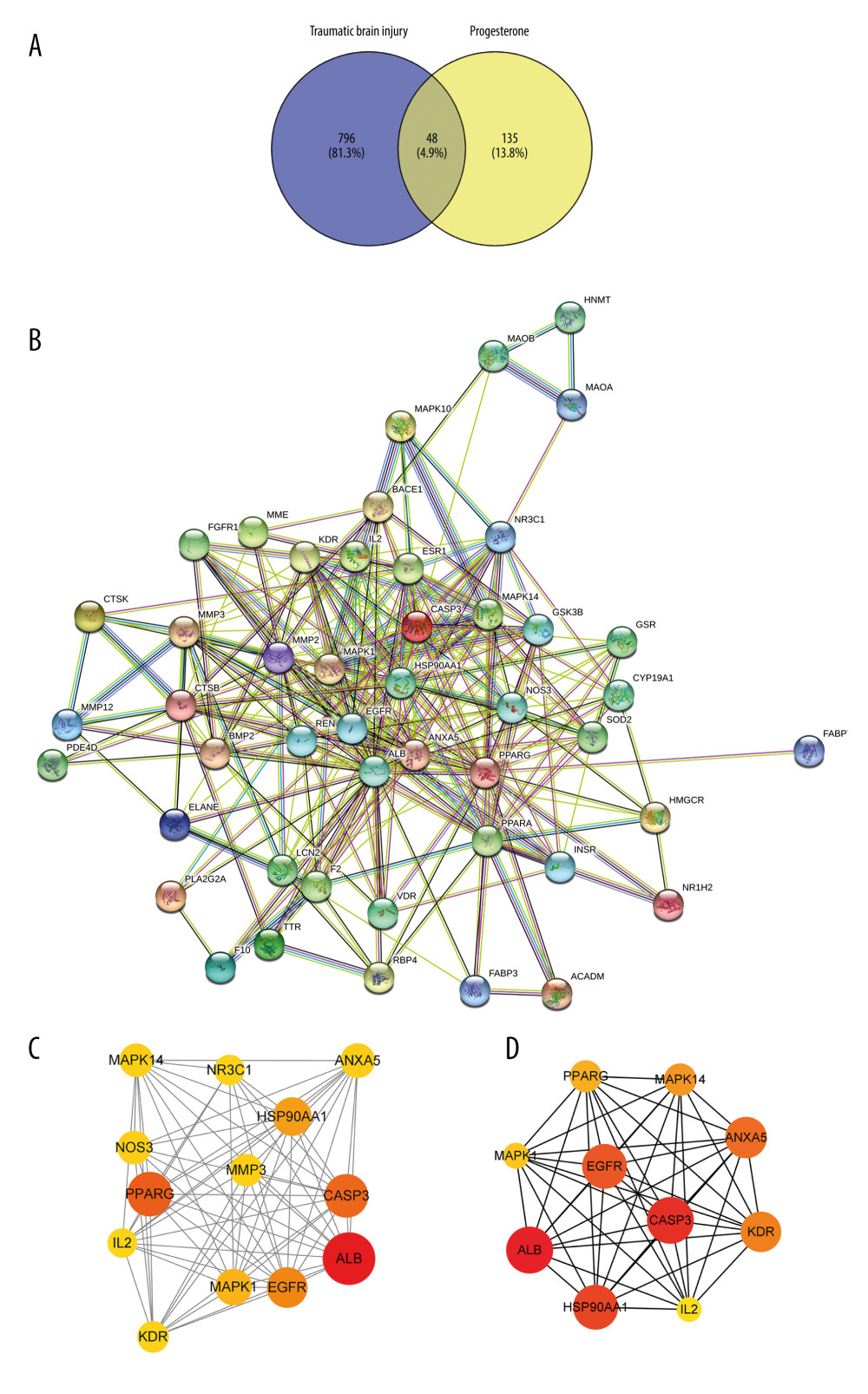 (A) The intersection target of progesterone target and traumatic brain injury target (created using Venny2.1.0 website). (B) PPI network of the intersection target of progesterone and traumatic brain injury (created using the STRING online database). (C) The main sub-networks (functional modules) in the target network, according to the figure. The node degree value sets the size of the node. The larger the node, the redder the color, indicating that the node is more important. Set the thickness of the edge according to the binding score. The thicker the edge, the stronger the PPI relationship (created using CytoScape 3.8.2 Software Mapping). (D) In the intersection target, the top 10 key target genes are calculated according to ECC. The larger the node, the redder the color, and the higher the ranking (created using CytoScape 3.8.2 Software Mapping).