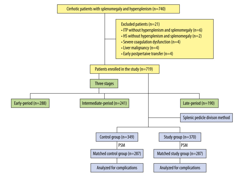 Classification and flow diagram of the study population. ITP – idiopathic thrombocytopenic purpura; HS – hereditary spherocytosis; PSM – propensity score matching.