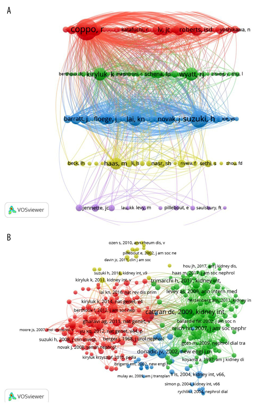 (A) The author co-authorship network of IgA nephropathy. (B) The co-citation cited author network of IgA nephropathy.