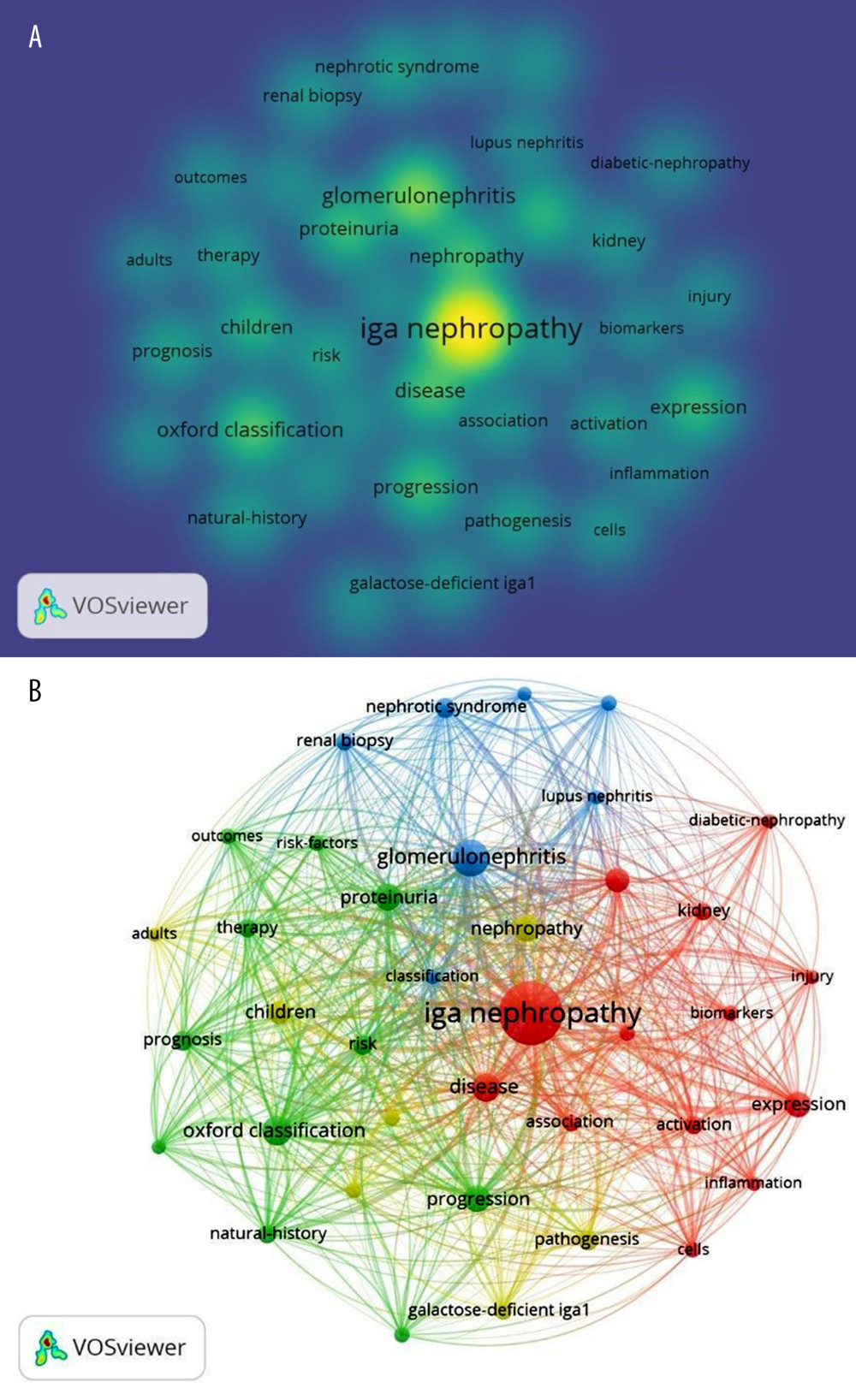 (A) Map of keyword density. (B) The co-occurrence network of keywords of IgA nephropathy.