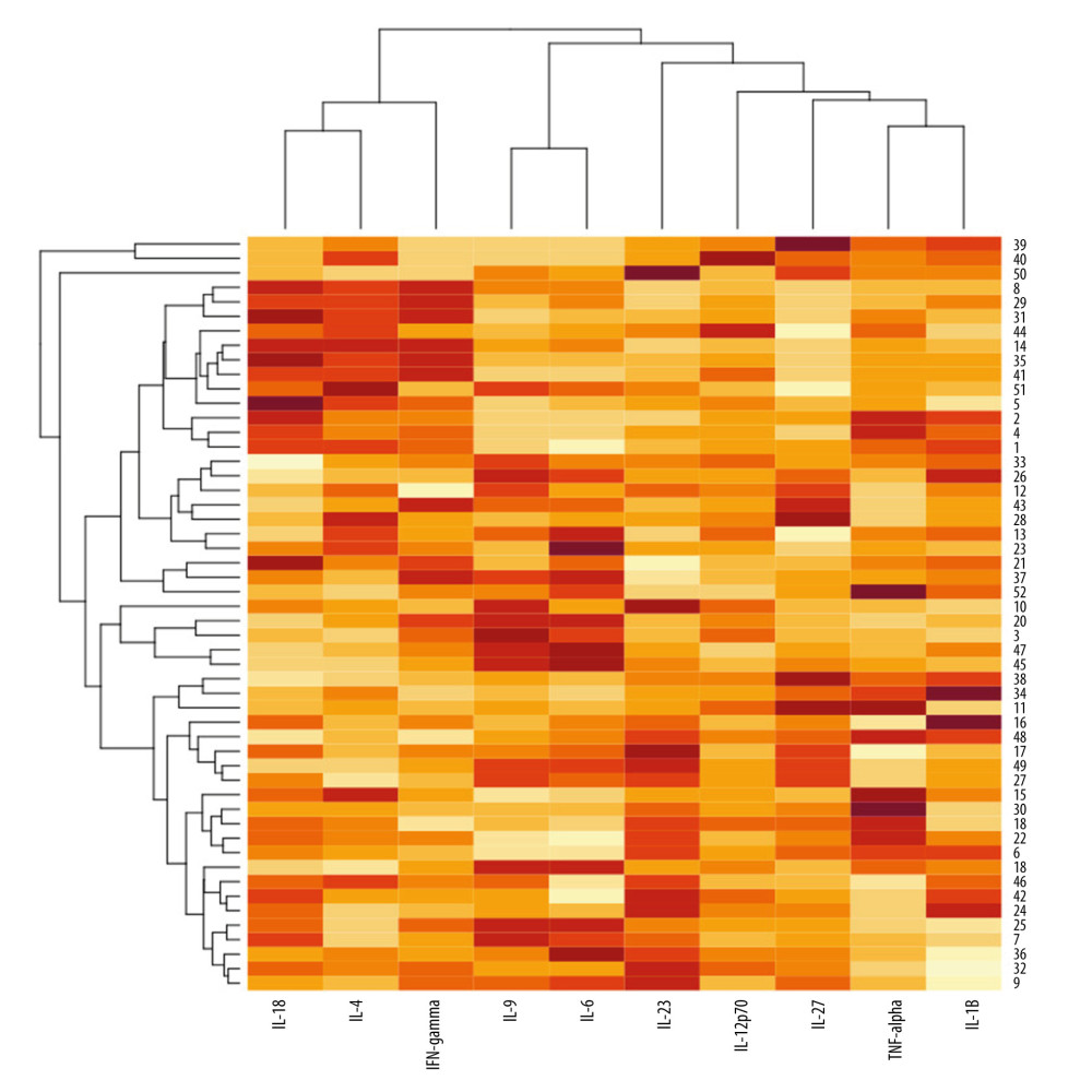 A heatmap with dendrograms for psoriatic patients and analyzed cytokines. Visualization is an effect of 2-way hierarchical clustering, where the rows and columns are ordered based on the results of the agglomerative hierarchical clustering, with dendrograms for patients and cytokines shown on the vertical and horizontal axes, respectively. The rows represent patients, and the columns represent cytokines. The darker brown color represents the higher serum cytokine concentration, whereas the lighter yellow color represents the lower cytokine serum concentration.