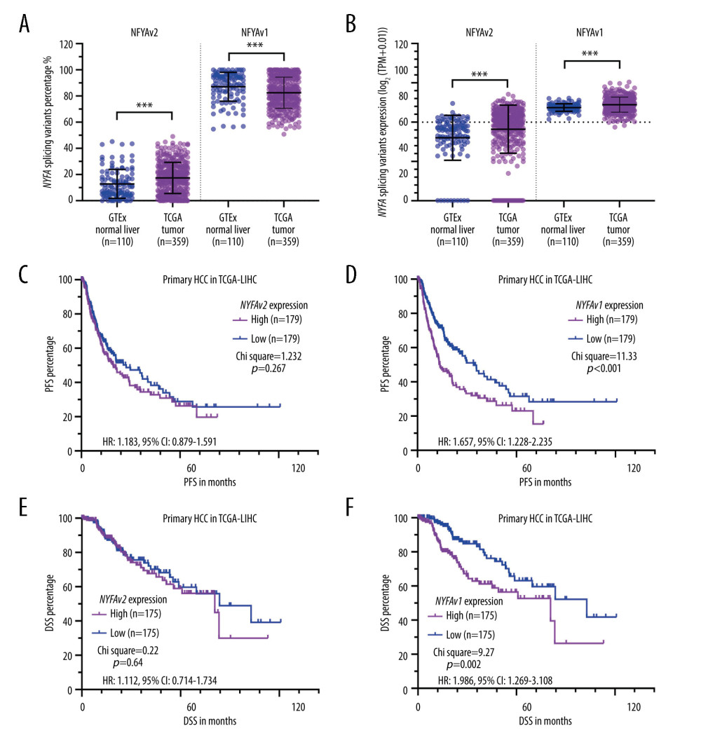 NFYAv1, but not NFYAv2, is associated with poor prognosis in patients with HCC(A, B) Comparison of NFYAv1 and NFYAv2 isoform expression percentage (A) and relative expression (B) in normal liver tissues in GTEx (n=110) and HCC tissues in TCGA (n=359). (C–F) K-M analysis for PFS (C, D) and DSS (E, F) comparison was performed. Patients with primary HCC in TCGA were classified into 2 groups by the median NFYAv2 (C, E) or NFYAv1 (D, F) expression. The log-rank test was performed to evaluate the survival difference. ***, P<0.001.