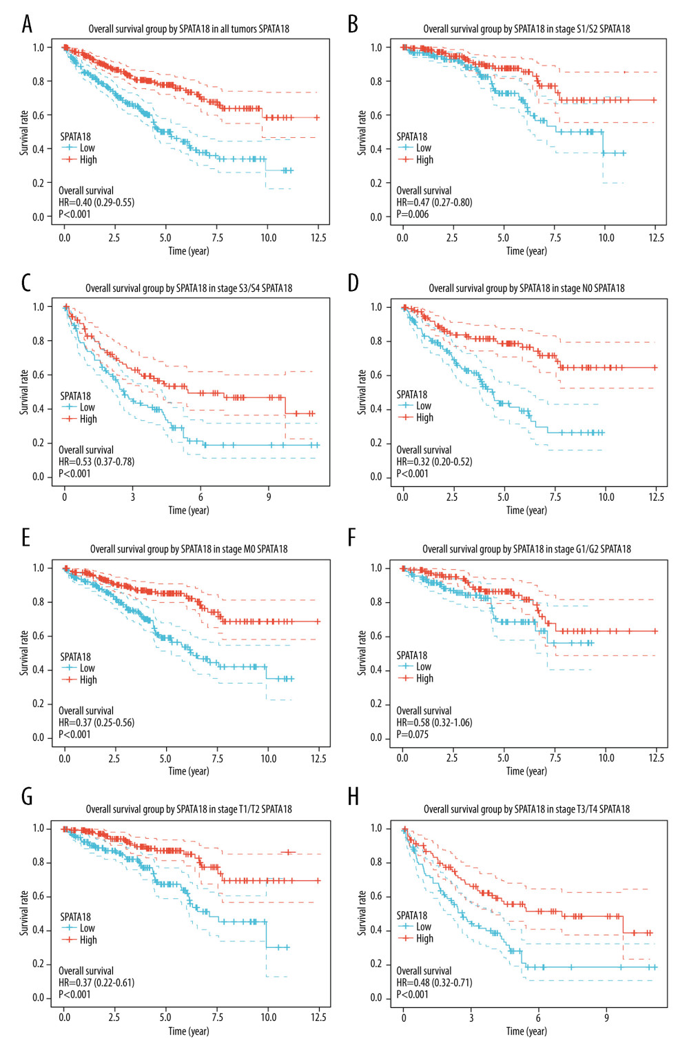 Overall survival analysis with SPATA18 mRNA expression. (A) Kaplan-Meier curves for overall survival in ccRCC for all cases, (B) clinical stage I/II, (C) clinical stage III/IV, (D) N0, (E) M0, (F) G1/G2, (G) T1/T2, (H) T3/T4 (R studio, version 3.6.3).