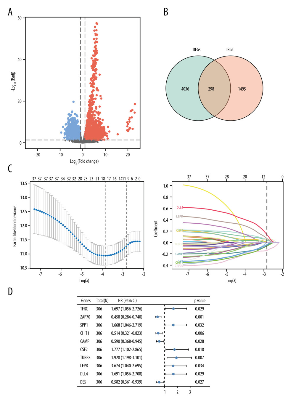 Identification of immune-related genes in cervical cancer.(A) Volcano plot of the differentially expressed genes between cervical cancer and normal tissue. Red points represented the significantly up-regulated genes, while blue points represent the significantly down-regulated genes (adjusted P<0.05). (B) Venn diagram to identify the overlapping genes between differentially expressed genes and immune-related genes. (C) Cross-validation plot for tuning the penalty parameter lambda in the LASSO model. LASSO coefficient profile plot of hub immune-related genes. (D) Forest plot of univariate Cox proportional hazards regression analysis for 10 hub immune-related genes expression and overall survival.
