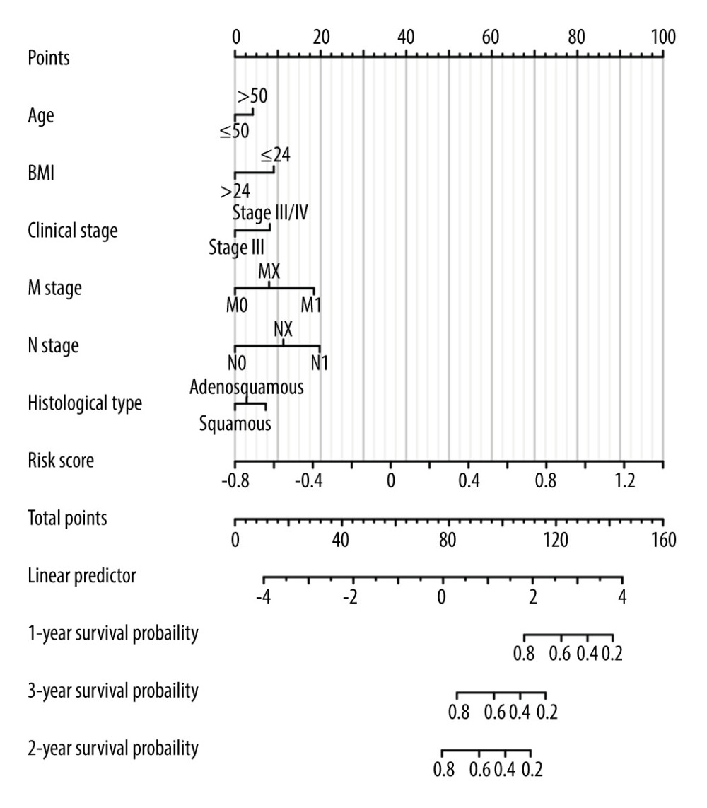 Nomogram for predicting the 1-, 3-, and 5-year overall survival rates.