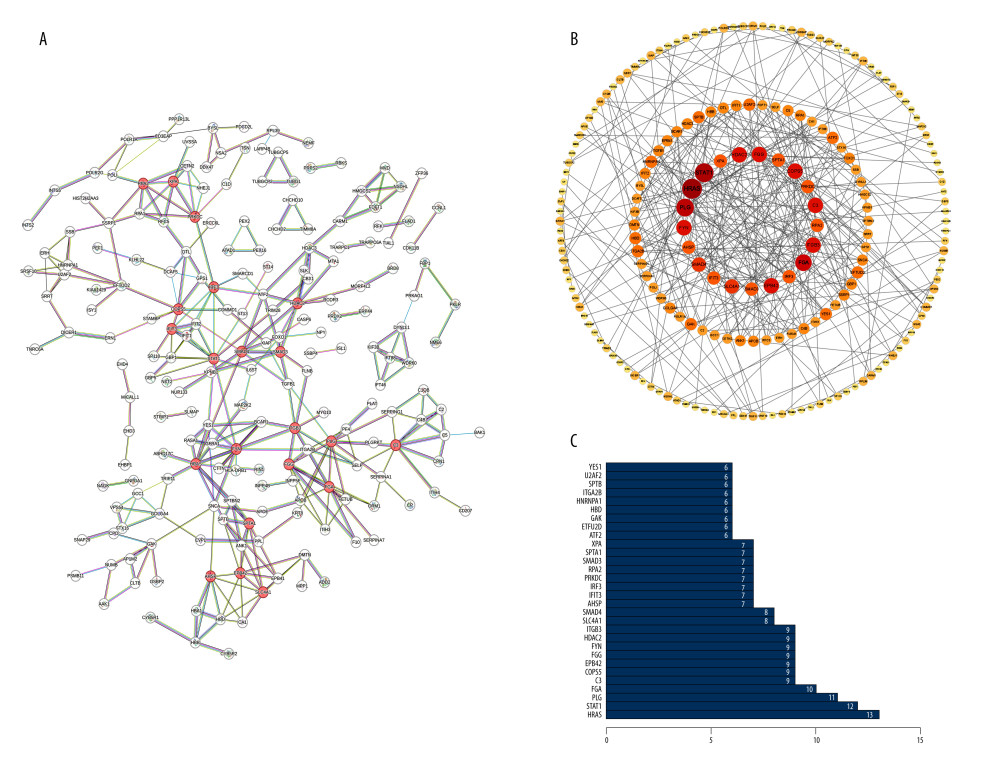 Differentially expressed proteins (DEPs) of PDAC network construction and Enrichment analysis of DEPs. (A) Protein–protein interaction (PPI) network of 378 DEPs, with top 21 proteins being shown in red (STRING, version 11.5, https://string-db.org/). (B) The top 21 proteins with the highest degree values were identified using CytoHubba (Cytoscape, version 3.9.1, https://cytoscape.org/). These proteins were ranked in descending degree order from red to orange to yellow. (C) The predicted association rank (from low to high) of the top 30 proteins in the PPI network (R software, version 4.1.2, USA).
