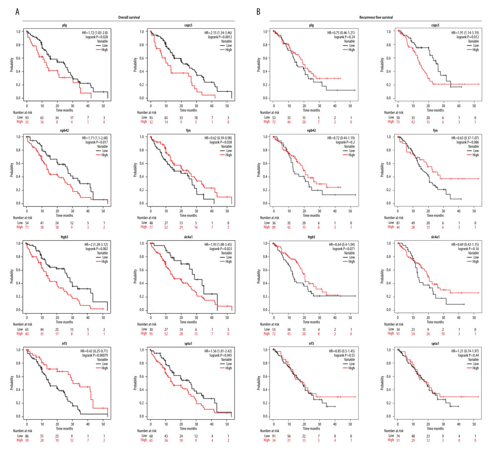 Kaplan-Meier (KM) survival curves analysis for hub proteins expression. (A) Based on PLG, COPS5, EPB42, FYN, ITGB3, SLC4A1, IRF3, and SPTA1 expression in PDAC samples, survival curves of the overall survival and (B) recurrence-free survival were constructed using KM plotter (KM plotter, 2022.08.23, https://kmplot.com/analysis/).
