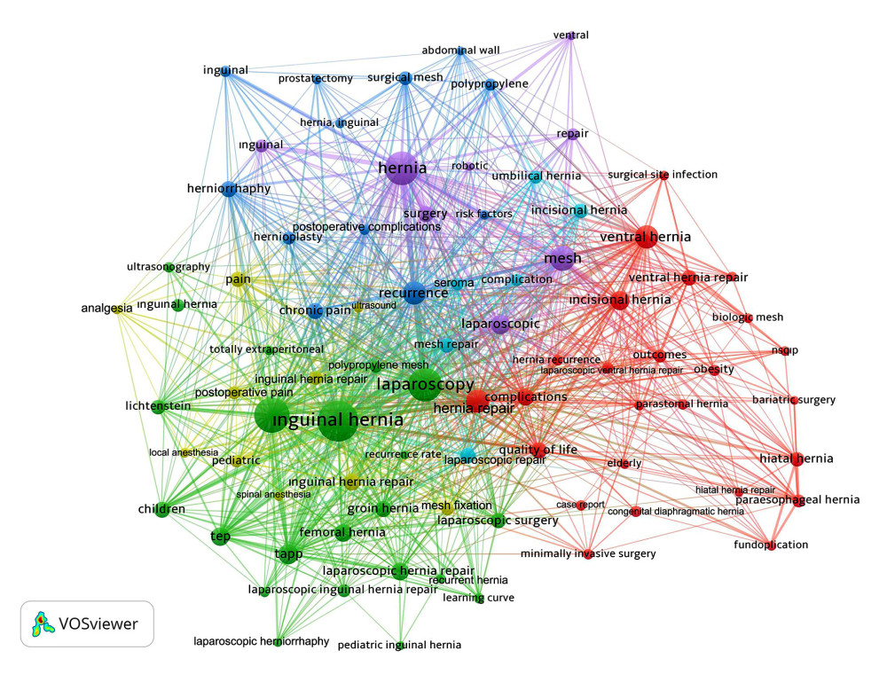 Network visualization map for cluster analysis based on keyword analysis performed to identify clustering of inguinal hernia subjects. Colors indicate clustering. Keywords in the same cluster are of the same color. The size of the circle indicates the number of uses of the keyword. Created by VOSviewer (Version 1.6.16, Leiden University’s Center for Science and Technology Studies).