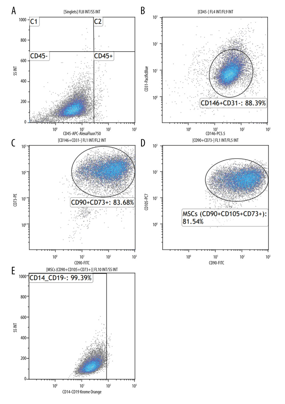 Cytometric evaluation of the expression of CD146, CD73, CD90, and CD105 surface antigens on the tested cells. DuraClone SC Mesenchymal Tube antibodies, Navios cytometer (Beckman Coulter). Sample immunophenotype analysis of umbilical cord-derived mesenchymal stem cells (MSCs) after in vitro culture. (A) Cytogram: cell population negative for CD45 antigen (CD45−). (B) Cytogram: percentage of CD31-negative and CD146-positive cells (CD146+CD31−). (C) Cytogram: percentage of cell population expressing CD90 antigen and CD73 antigen (CD90+CD73+). (D) Cytogram: percentage of umbilical cord MSCs positive for CD90, CD105, CD73 (CD90+CD105+CD73+). (E) MSC positive for CD90, CD105, CD73 and negative for CD14 and CD19 (CD90+CD105+CD73+CD14−CD19−).