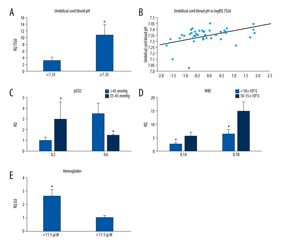 (A) Mean TSG-6 gene expression (relative level of expression±standard error [RQ±SE]) in tested mesenchymal stem cells (MSCs) depending on umbilical cord blood pH. * P<0.05 Mann-Whitney U test. (B) Graph of distribution TSG-6 gene expression in tested MSCs and umbilical cord blood pH. Spearman’s rank factor r=0.402, P<0.05. (C) Mean IL2 and IL6 gene expression (relative level of expression±standard error [RQ±SE]) in tested MSCs, based on the umbilical cord blood pCO2. * P<0.05 Mann-Whitney U test. (D) Mean IL1A and IL1B gene expression (RQ±SE) in tested MSCs depending on umbilical cord blood white blood cell count. * P<0.05 Mann-Whitney U test. (E) Mean IL6 gene expression (RQ±SE) in tested MSCs, based on umbilical cord blood hemoglobin level. * P<0.05 Mann-Whitney U test.