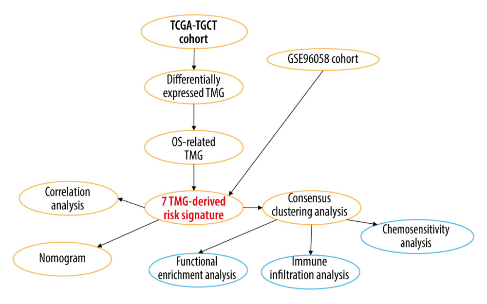 A detailed flow chart for establishing a TRGs-based risk signature to predict the prognosis of BC. (Adobe, version 26.0).