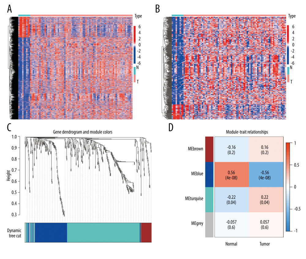 Identification of IRDEGs in EAC. (A) The heatmap shows all DEGs between 78 EAC samples (red) and 9 normal samples (blue) (P<0.05, |log2FC| >1). (B) The heatmap shows 394 IRDEGs. (C) WGCNA of immune-related DEGs. (D) Gene modules related to EAC obtained by WGCNA. EAC – esophageal adenocarcinoma; DEGs – differentially-expressed genes; WGCNA – weighted gene co-expression network analysis; IRDEGs – immune-related differentially-expressed genes.