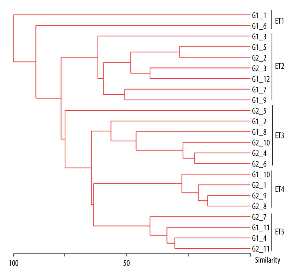 Dendrogram generated from ERIC-PCR banding pattern of 23 Acinetobacter baumannii isolates. The similarity analysis was performed with bionumerics software.