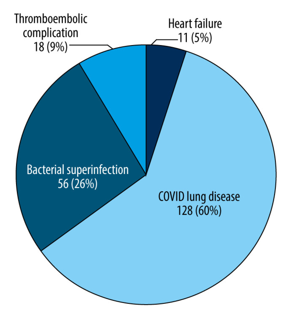 The number of cases and the percentage of individual causes of death in patients with COVID-19 among all deceased persons in the observed group. COVID-19 lung disease includes deaths due to respiratory failure in the course of SARS-CoV-2 pneumonia, including pneumothorax. Thromboembolic complication included pulmonary embolism, other thromboembolic events, myocardial infarction, ischemic stroke. Bacterial superinfections included VAP, hospital-acquired pneumonia (HAP), other sepsis - generalized infections with a source other than the respiratory system, neuroinfection, and pulmonary aspergillosis.