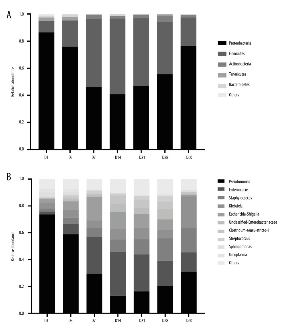 Histogram of the distribution of dominant intestinal bacteria in preterm infants. (A) Distribution of the top 5 phyla at different time points. (B) Distribution of the top10 genera at different time points. (GraphPad Prism8.0 software).